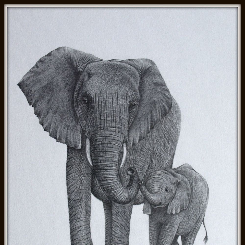 Meet your Posher, Gavor